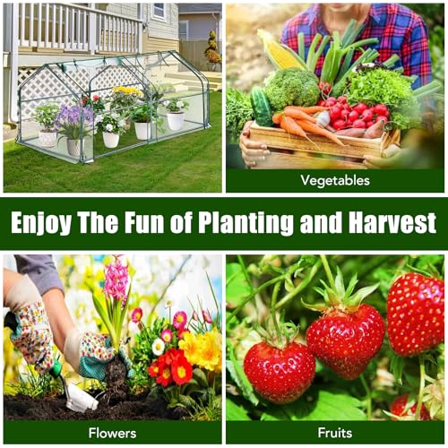 Garvee Mini Greenhouse with Zippered Doors & Roll-up Windows, 71" x 36" x 36" Portable Plant Hot House with Durable PVC Cover, Water Resistant, UV Protected for Outdoor Flowers, Vegetables - size: 71"x36"x36"