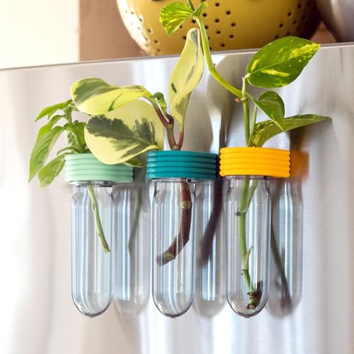 Propagation Station Wall Hanging Terrarium Upcycled 3D Printed Eco Friendly Unique Plant Lover Gift (Mango) - color: Mango