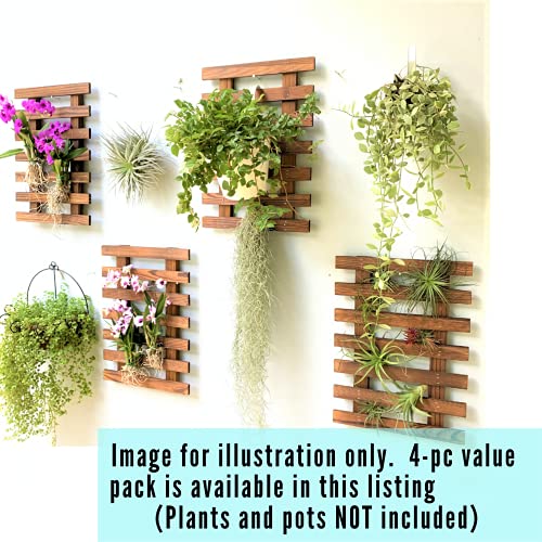 ShopLaLa Wall Planter for Climbing Plants Outdoor (150cm) Hanging Planters - size: 150cm (59.1")