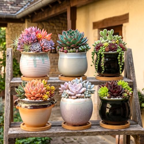 3.5 Inch Succulent Pot with Drainage,Planting/Flower Pots - size: 3.5inch-6pack