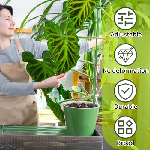 Extendable Monstera Plant Stakes, Support Sticks with Clips 7 Pack - size: 25Inches7PCS