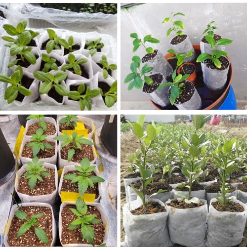 200Pcs Nursery Growing Bags, 5.8"x5" Small Grow Bag for Plants, Fabric Plant pots, Potato, Flower, Tomato Solid Seed Starter - size: 200pcs 5.8"x5"