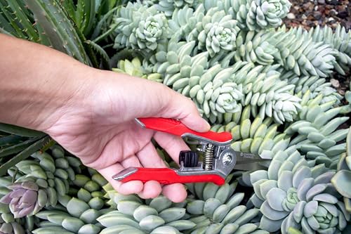 Corona Tools FS43623 Yard Essentials Mini Floral Snips, Red - size: Floral Snips