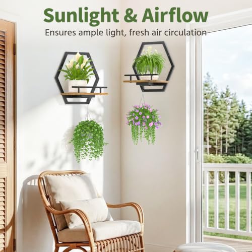 LASZOLA Plant Picture Frame Holder Shelf Wall Window Indoor, 2 Pcs Brown - color: Obsidian Black+Brown, size: 2