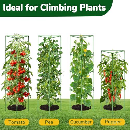 ZeeDix 65 Inch Heavy Duty Tall Tomato Cages for Garden 2 Pack - size: 65 Inch