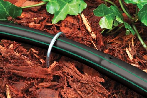 Rain Bird GS50/10PS Drip Stake, 1/2", 20-Pack - size: 20-Pack, style: Galvanized Wire Stake