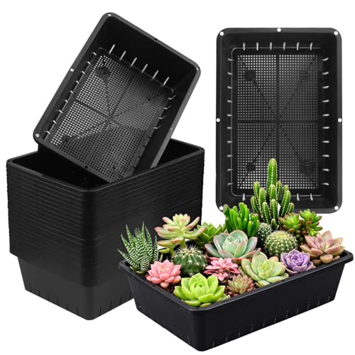 25 Pack Seed Starter Trays 10 x 7 inches Microgreens Growing Trays with Mesh Bottom for Germination, Hydroponic & Sprouting Plant Trays for Garden, Wheatgrass - size: 25 Pack 10 x 7 inch black