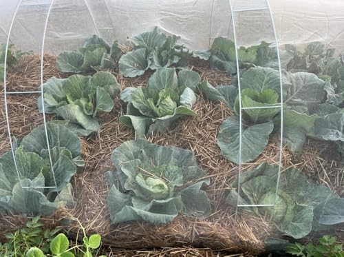 Garden Pest Barrier Netting, Plant Covers 6.5x10Ft Ultra Fine Mesh Net - size: 6.5ftx10ft