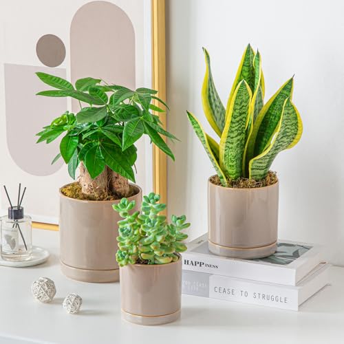 vancasso Ceramic Plant Pots, 3 Piece Planters for Indoor Plants, Gray - color: Gray