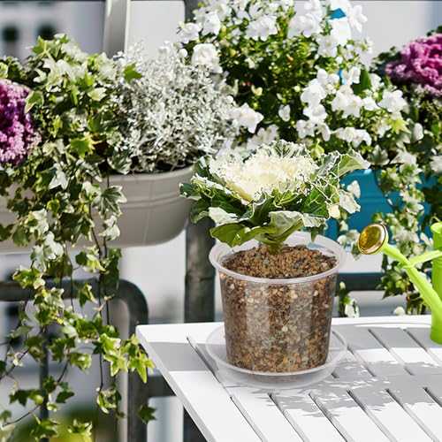 20 Pack 4 Inch Clear Nursery Pots with Drainage and Saucer, Clear Plastic Planter Pots for Plants, Flexible Seed Starting Pots for Succulents, Small Herbs, Annual Flowers (4 Inch) - size: 4 Inch