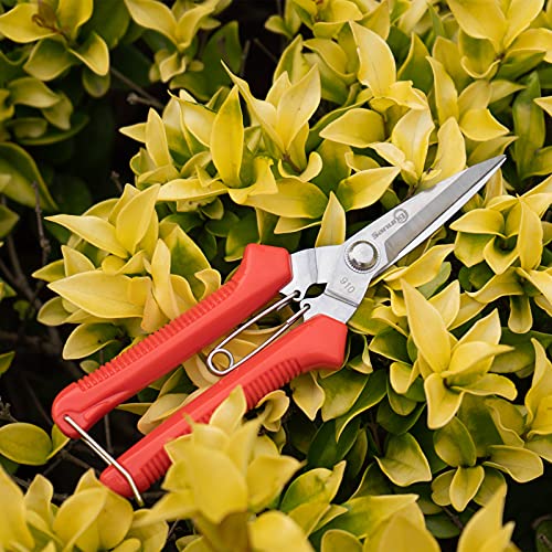 Sanung 910 2 PACK Garden Pruning Shears Multipurpose Flower Stems Branch Fruit Picking Shears Scissors Gardening Hand Pruners with Straight Steel Blades Safety Lock