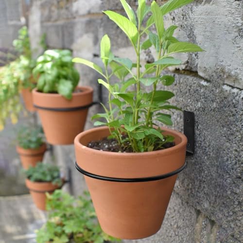 6 Pack 6 Inch Wall Plant Holder,Metal Plant Hanger Indoor,Wall Planters For Indoor Plants,Black - size: 6 inch-6Pack