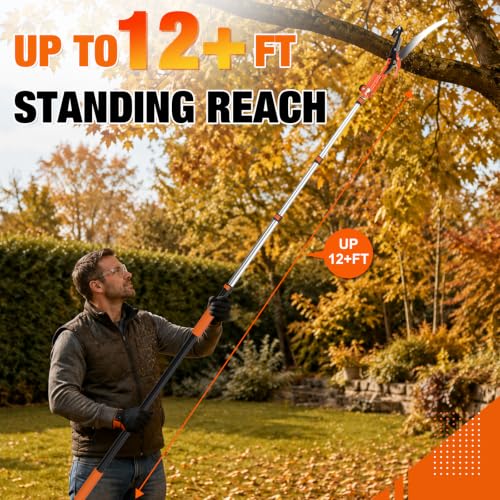 LAANPOLE 20FT Reach Tree Trimmer, Manual Pole Saw with 3-12FT Extension Pole, Tree Pruner Extendable for High Tree Branch Trimming Pruning Cutting - size: 12FT