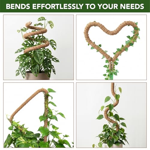 UNCO- Bendable Moss Pole Monstera Plant Support, 48 Inch, 2 Pack, 10 Feet Plant Ties, Moss Poles for Climbing Plants and Monstera Trellis