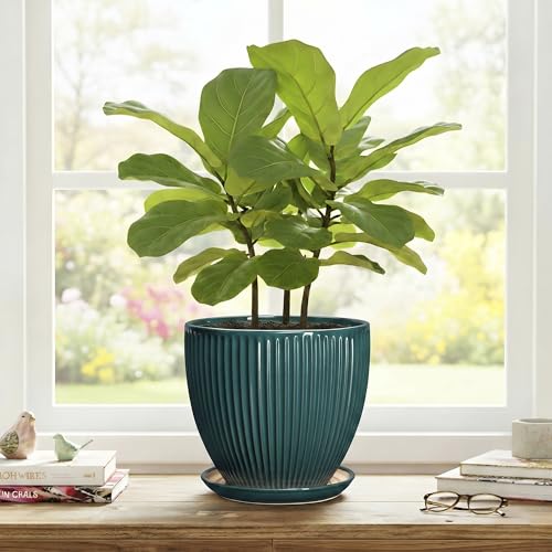 Ceramic Planter, 8 Inch Plant Pots with Saucer, Blackish Green - color: Blackish Green, size: 8 Inch