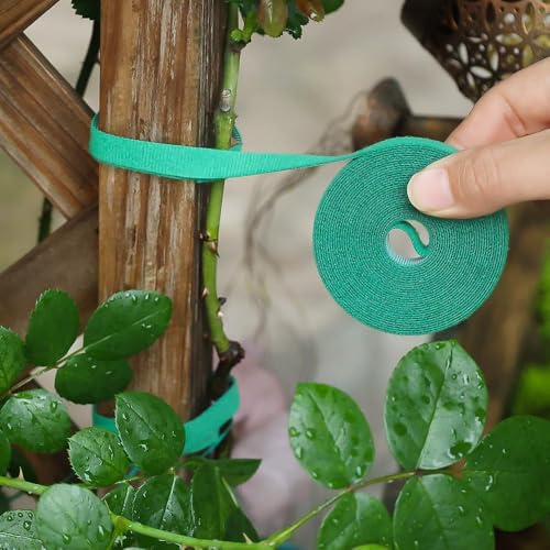 2Pcs Green Garden Tie, Plant Supports for Effective Growing, Reusable and Adjustable, Plant Ties for Branches Flowers (10M) - color: 10m