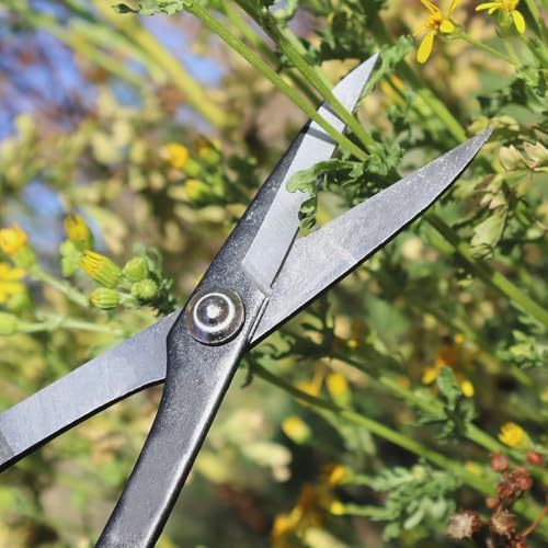 Garden Scissors Stainless Steel Garden Bonsai Pruning Shears (Modern) - style: Modern