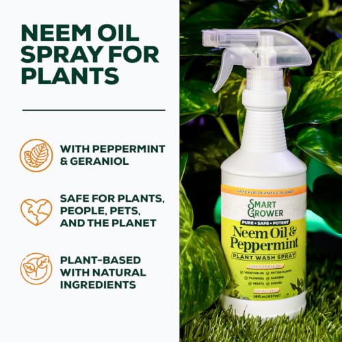 Neem Oil Spray for Plants with Peppermint Oil. Indoor & Outdoor Plant Use - size: 16 Fl Oz