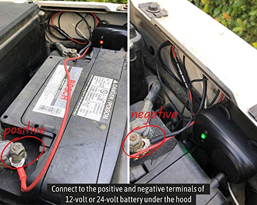 Loraffe 12V/24V Ultrasonic Under Hood Rodent Repellent for Car Engines