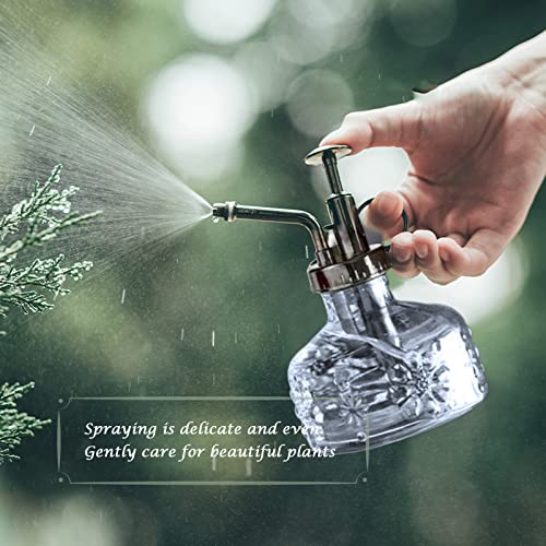 XXXFLOWER Glass Plant Mister Spray Bottle Grey 180ml/6 oz - color: Gray