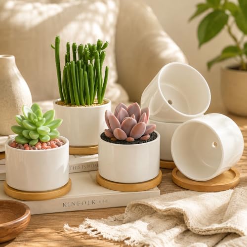ZOUTOG 8 Pack 3.6" Ceramic Succulent Pots,White Planter with Drainage Tray - size: 8 pack