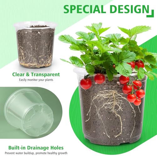 8 Inch Large Clear Nursery Pots with Drainage, 10 Pack Plastic Pots for Plants, Ideal Seedling Pots and Plant Pots for Vegetables, Orchids, Aloe, Indoor Outdoor Use (8 inch-10 Pack) - size: 8 inch