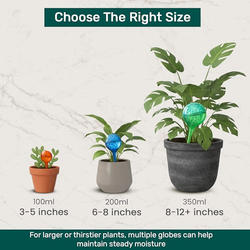 Plant Watering Globes 2 Pack – Self Watering Bulbs for Plants, 200ml Medium - color: 2pk 200ml Clear Rainbow