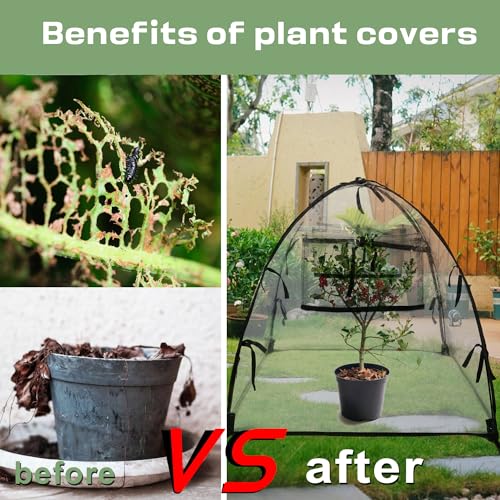Plant Tent Cover Freeze Protection for Winter Plants Clear 36" x 36" x 38" - size: 36" x 36" x 38"