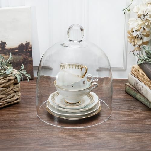Plymor 7.875 inch x 9.5 inch Bell Jar Glass Display Dome Cloche (Interior Size 7.5" x 7.5") - size: 7.875" x 9.5"