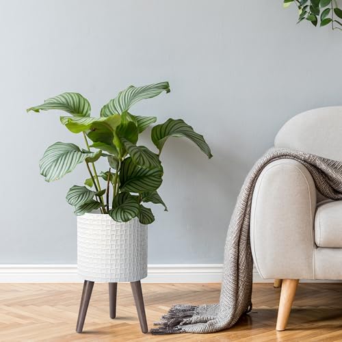 D'vine Dev Planter Pot with Wood Stand, 10 in, Matte White, 88-Z-B-1 - color: Matte White, size: Medium
