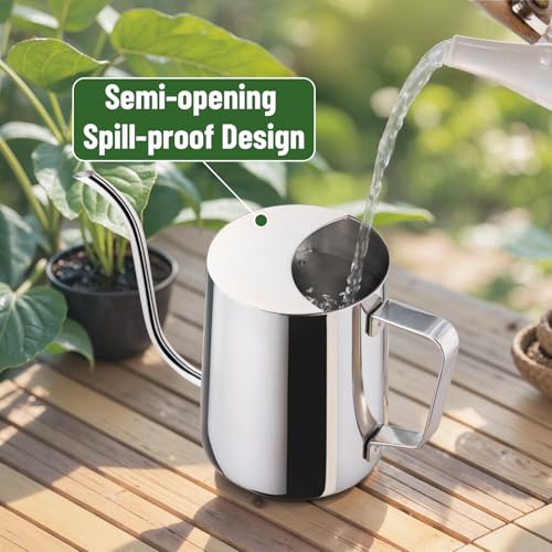 Doseno Indoor Watering Can, Long Spout Watering Can, Stainless Steel, 20 oz - size: 600ml/20oz-Stainless Steel