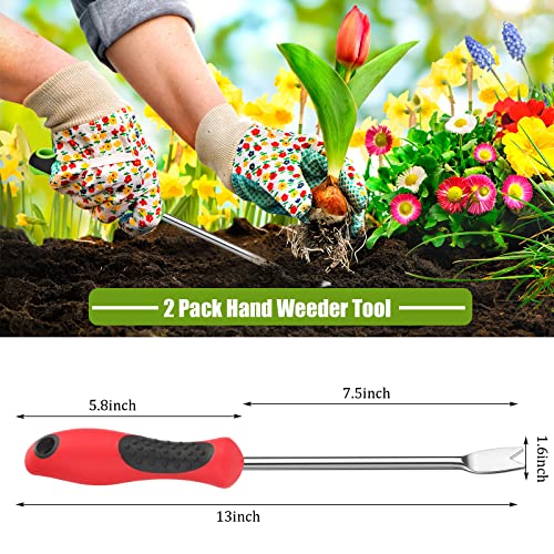CHENGU 2 Pack Dandelion Weeder Tool with Handle, Polished Aluminum Alloy Weed Puller, Two-Pronged Fork Weeder Tool for Lawn Yard Farmland Gardening Transplant Plant