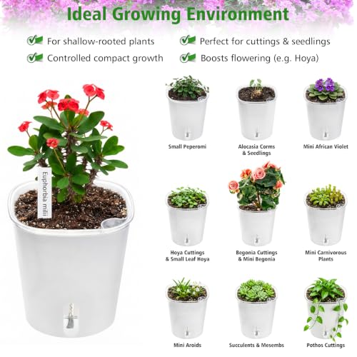 3 Inch Self Watering Pots for Indoor Plants, 10 Pack Clear Nursery Pots with Drainage & Water Level Indicator, Plant Pots for African Violet, Flowers, Herbs - size: 3 Inch