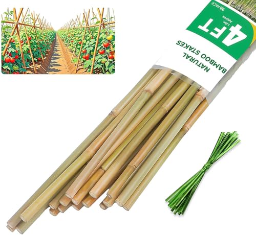 Natural Bamboo Plant Stake, (4FT 30Pcs) Sturdy Bamboo Poles, Durable Plant Bamboo Stake, Garden Climbing Plant Bracket. - size: 4ft-30PCS