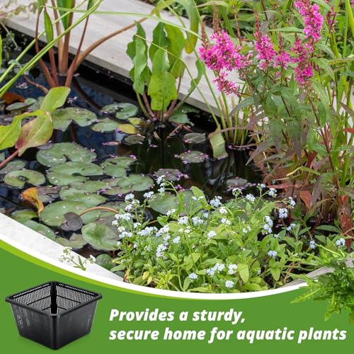 8 Pcs Aquatic Plant Baskets for Hydroponics Water Plant Pots