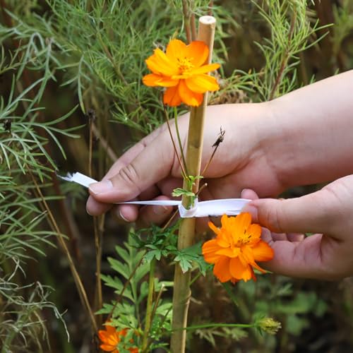 Natural Bamboo Plant Stake, (4FT 30Pcs) Sturdy Bamboo Poles, Durable Plant Bamboo Stake, Garden Climbing Plant Bracket. - size: 4ft-30PCS