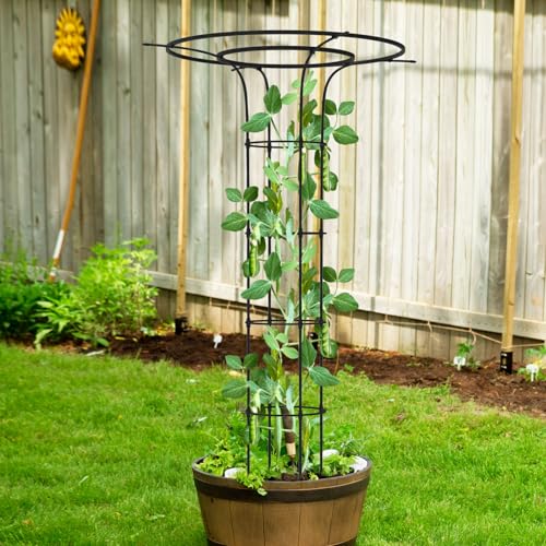 Trellis for Climbing Plants Outdoor 69" H, Mushroom Top Trellis,2Pack - size: 2 pack(Round)