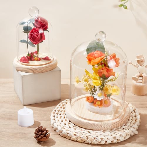 2 Pcs Round Glass Cloche Dome, Clear Decorative Tabletop Display Case with Wood Base and Globe Handle, for Fairy Lights Figurine Ornaments Plants Display Home Decor