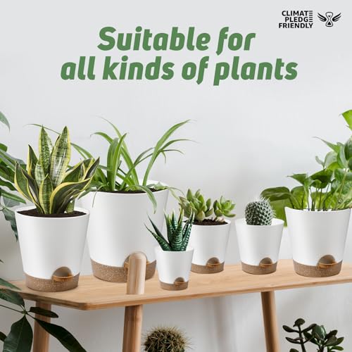 YNNICO Indoor Self Watering Planters with Drainage Holes and Saucers, 8, 7, 6.5, 6, 5.5, 5 Inches, White, 6 Pots (Pack of 2) - color: White, size: 8+7+6.5+6+5.5+5 inch (Pack of 2)