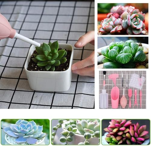16 Pcs Mini Garden Hand Transplanting Succulent Tools Set, Miniature Planting Tool Kit, Small Gardening Tool for Indoor Succulent Bonsai, Potting, Cactus