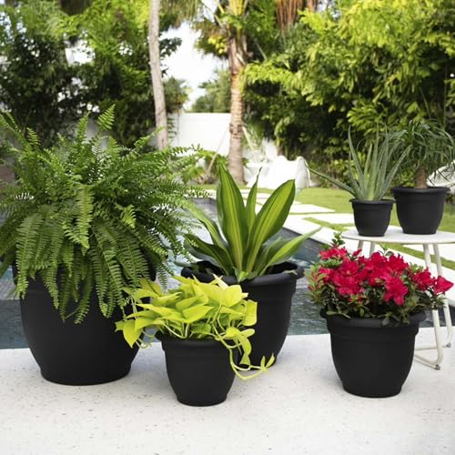 Bloem Ariana 8" Plastic Self-Watering Planter, Black, 4-Pack - color: Black, size: 8" (Pack of 4)