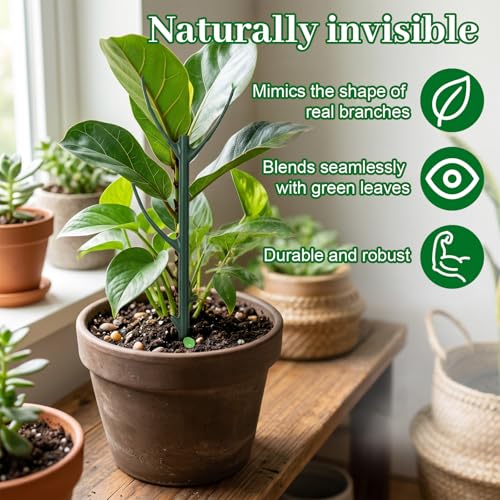 5 Pack Monstera Plant Support Upgrade Stackable Plant Stakes