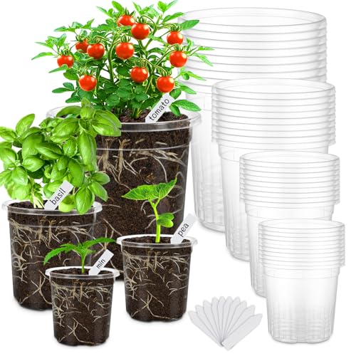 36 Pcs 6/5/4/3.5 In Clear Nursery Plant Pots with Drainage Holes, 20 Labels - size: 3.5/4/5/6.5 in-36p