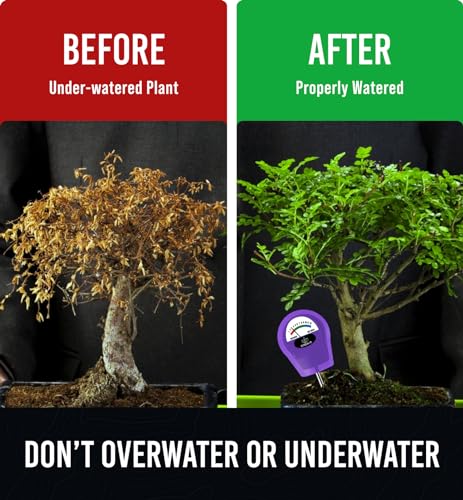 Soil Water Monitor for Plants - Soil Moisture Meter | Hydrometer for Plants | Plant Moisture Meter Houseplants | Water Tester for Plants | Farming Indoor and Outdoor Plants-Purple