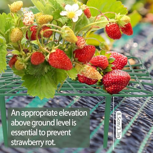 4 Sets Strawberry Plant Support with Mesh Plant Cover,Strawberry Growing Racks Sets with Iron Plant Nails and Storage Bag for Garden Strawberry Vegetables(Green Net - Square) - color: Green Net - Square