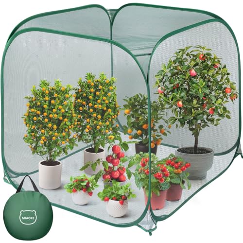 Pop Up Mesh Plant Cover, 35x35x38'' Garden Netting for Insect Protection - color: Green, size: 1 piece