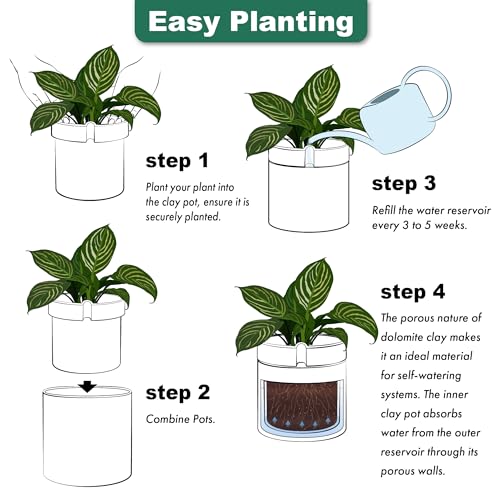 Phoenix Vine 10 Inch Cylinder Self Watering Planter, White Glazed Outer Plant Pot with Dolomite Clay Inner Planter for Indoor Plants, White, 31-A-I-W - color: White