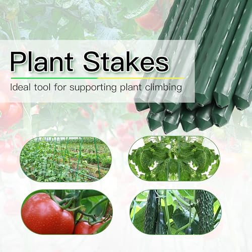Garden Stakes 7ft, Metal Plant Stakes 7 Feet 25 Pack for Gardening and Farm, 84" Plastic Coated Plant Support for Tomato, Cucumber, Bean, Flower, Potted and More Climbing Plants - size: 7ft, pack of 25