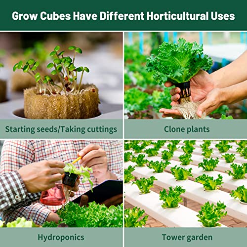 1" Rockwool Cubes for Hydroponics - (200 Plugs in Total) 4 Sheets Rockwool Grow Cubes for Rooting, Cuttings, Clone Plants, Starting Seeds, Ideal Rockwool for Hydroponic Growing - size: 200 Plugs