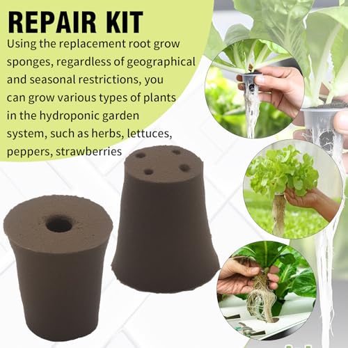 60Pack Grow Sponges, Seed Starter Plugs for Seeds and Cuttings, Suitable for Hydroponic Systems and Soil Cultivation for Indoor and Outdoor Plant Rooting Herbs Vegetables Cultivation Planting Sponges